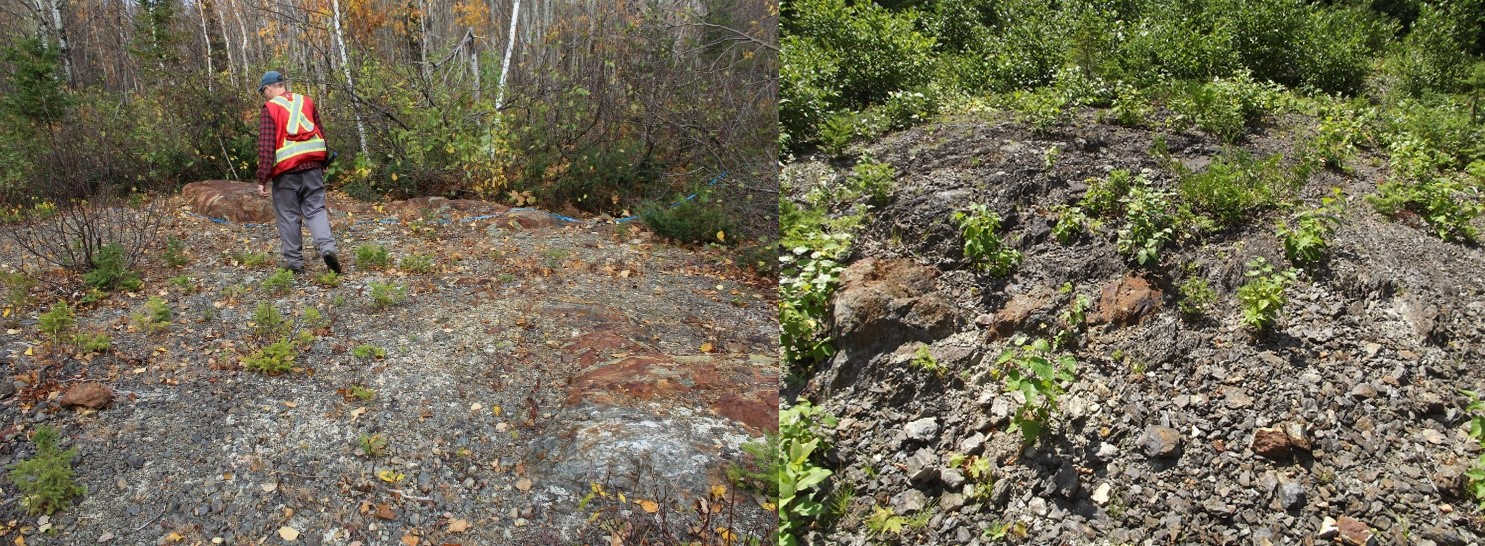 Rusty Rhyolite Cap, Nine Mile Brook Lens (Bulk Sample Project Area)